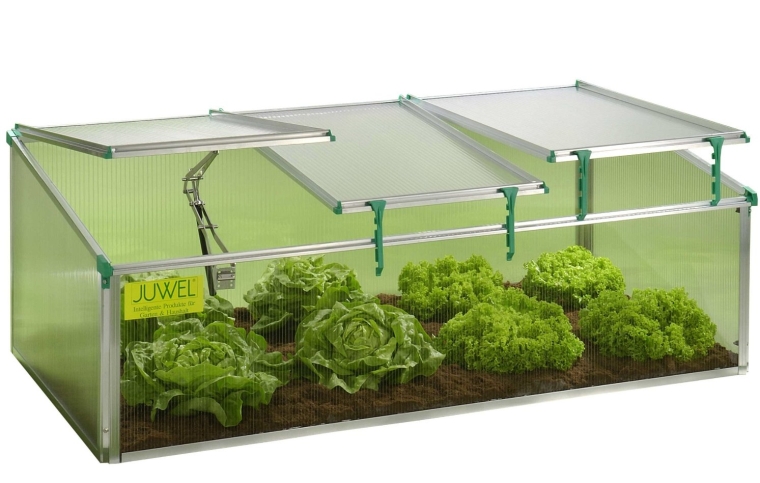 BioStar 1500 Premium Cold Frame