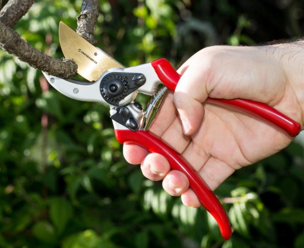 Цепной секатор. Секатор садовый pruning Shears 5037. Секатор Felco 31. Секатор садовый pruning Shears 5023. High Carbon Steel sk-5 Japanese Steel секатор.