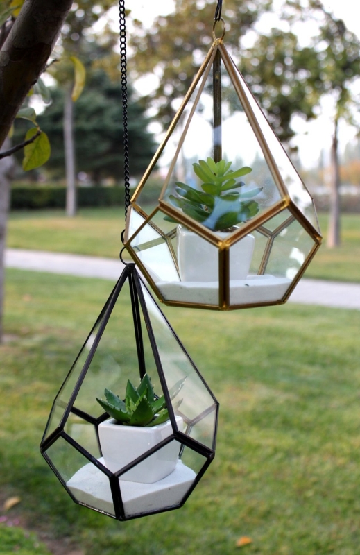 Triangular Geometric Glass Pannel Terrarium