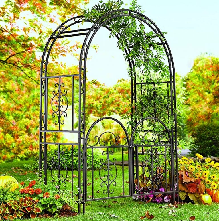 Decorative Garden Arbor Trellis with Gate | Fresh Garden Decor