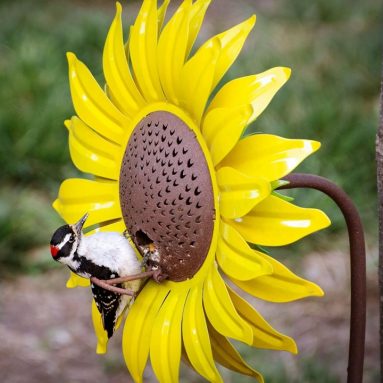 Desert Steel Sunflower Bird Feeder