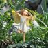 Color Changing Solar Garden Fairy
