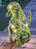 Lighted Moss Dog Outdoor Yard Display