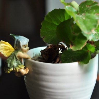 Miniature Fairy Garden and Terrarium Fairy Baby