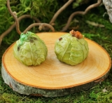 Miniature Fairy Garden and Terrarium Mini Frog on Cabbage Statue