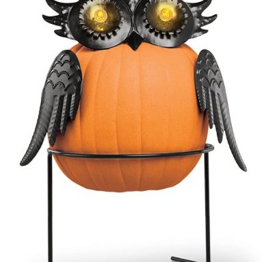 Owl Pumpkin Holder