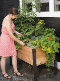 Raised Garden Bed Elevated Cedar Planter Box