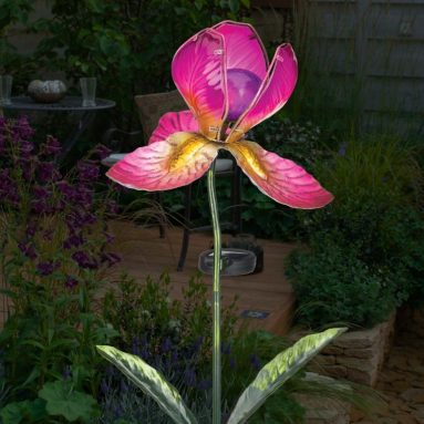 Regal Solar Iris Stake – Fuchsia