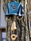 Team Sports America NFL Team Forest Face