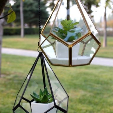 Triangular Geometric Glass Pannel Terrarium