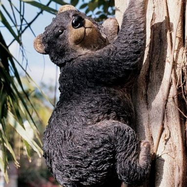 the Climbing Bear Sculpture
